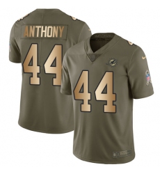 Men's Nike Miami Dolphins #44 Stephone Anthony Limited Olive/Gold 2017 Salute to Service NFL Jersey