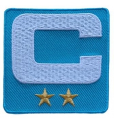 Miami Dolphins 2-star C Patch