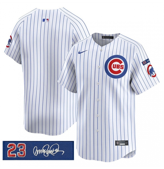 Men's Chicago Cubs Blank White Pinstripe 'Ryne Sandberg Tribute' Vapor Limited V3 Stitched Baseball Jersey